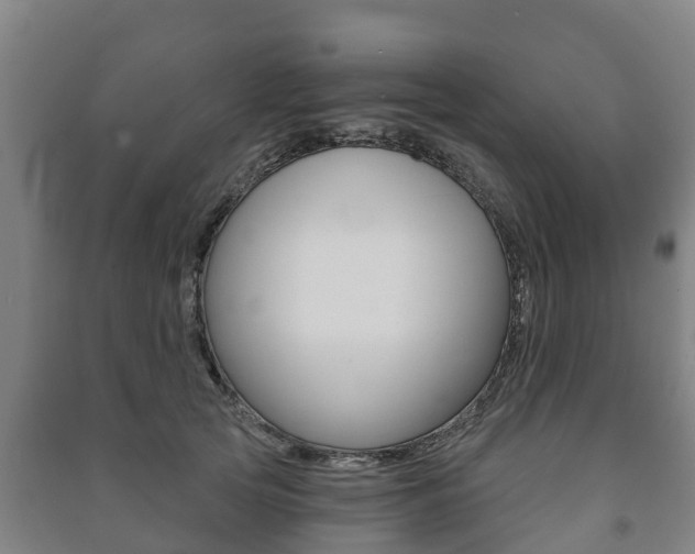 X0000091460753200708161107