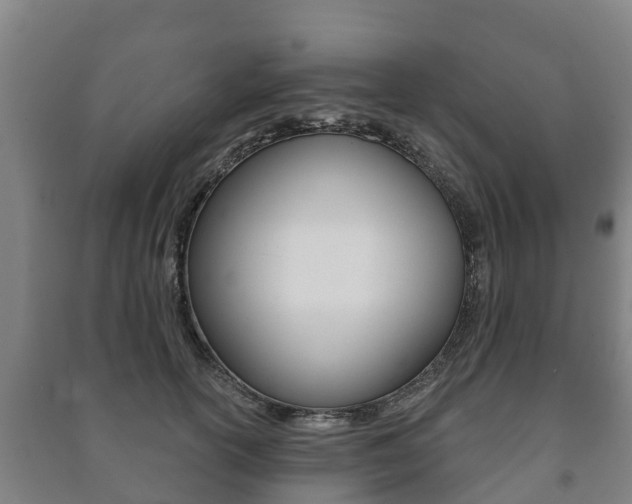 X0000091460754200708161107