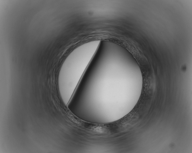 X0000091460755200708161107