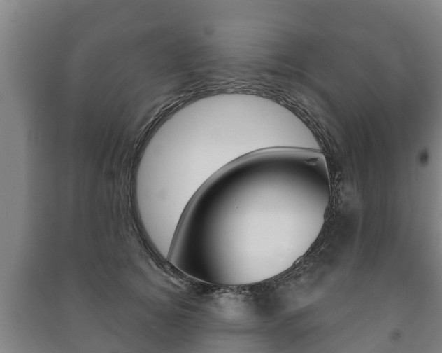 X0000091460756200708161107