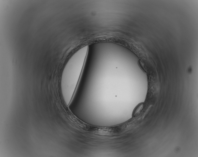 X0000091460758200708161107