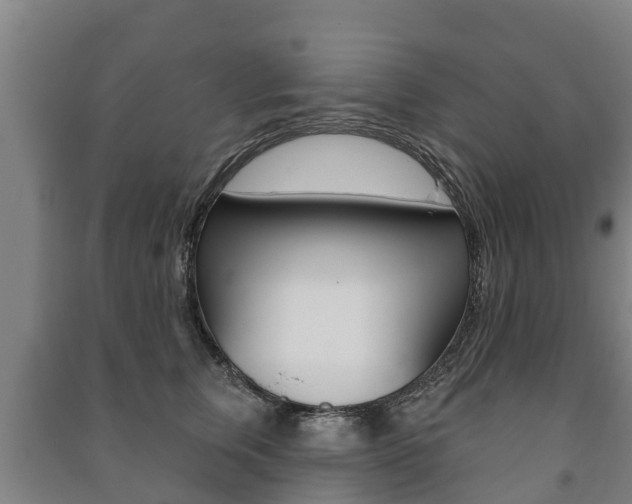 X0000091460759200708161107