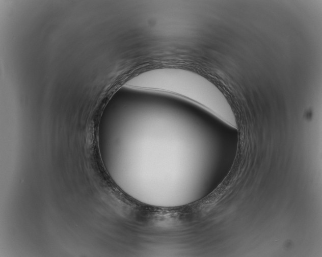 X0000091460760200708161107
