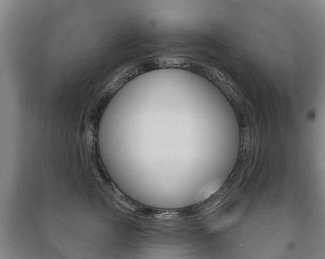 X0000091460761200708161107