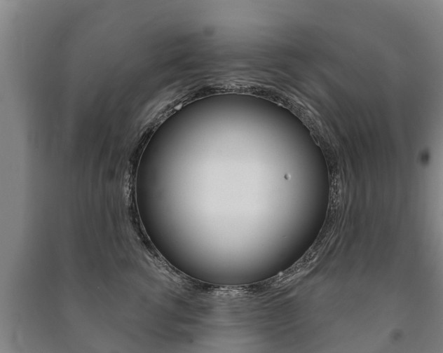 X0000091460762200708161107