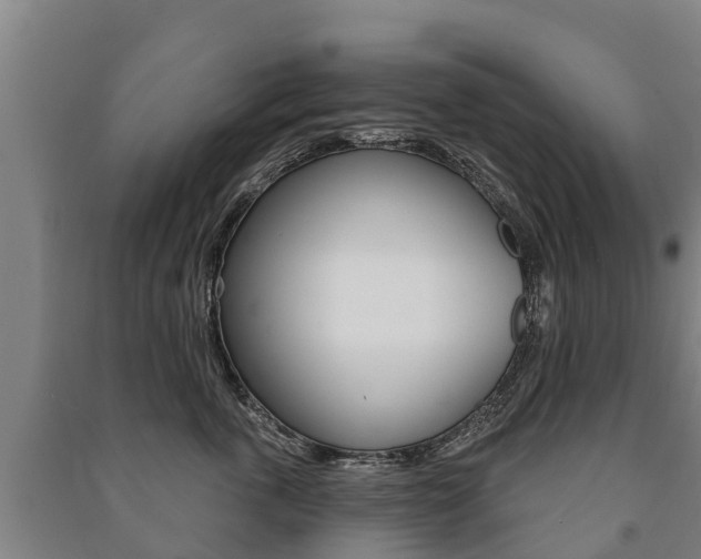 X0000091460763200708161107