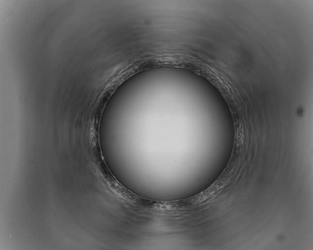 X0000091460764200708161107