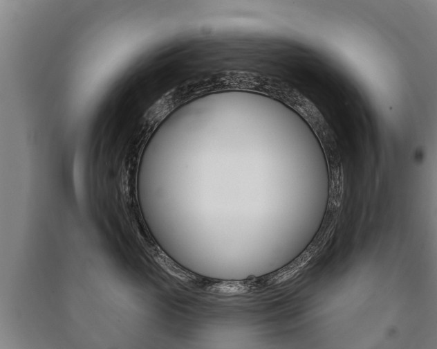 X0000091460765200708161107