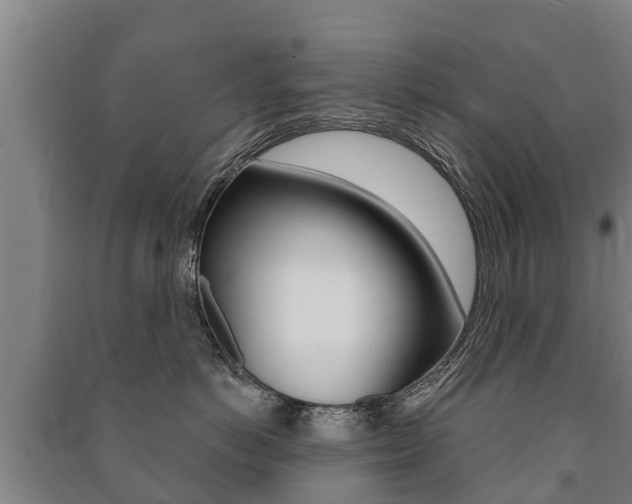 X0000091460766200708161107