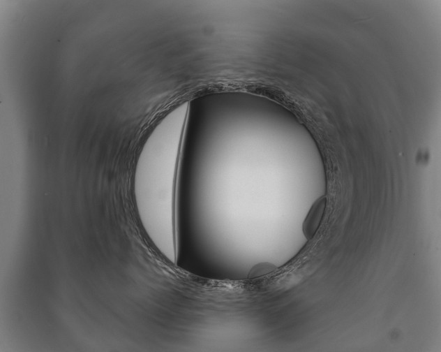 X0000091460768200708161107