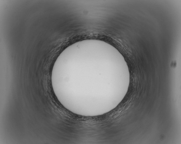 X0000091460769200708161106