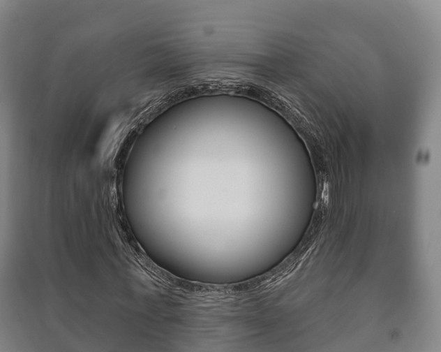 X0000091460771200708161106