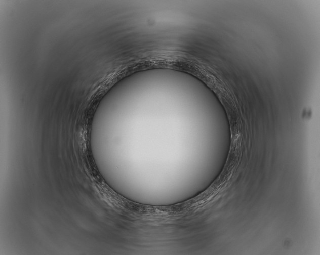 X0000091460772200708161106