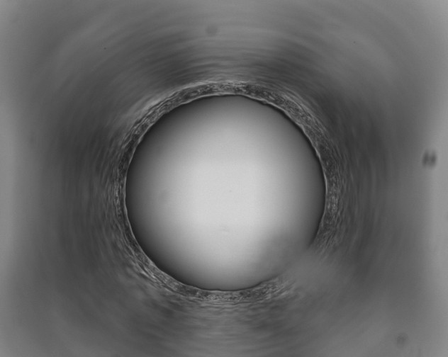 X0000091460773200708161106