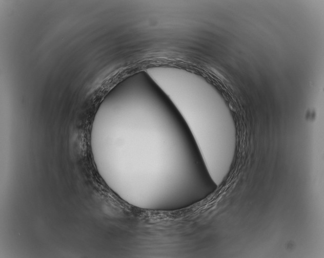 X0000091460774200708161106