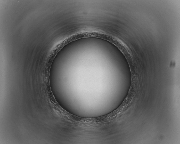 X0000091460775200708161106