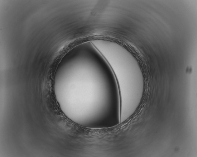 X0000091460776200708161106