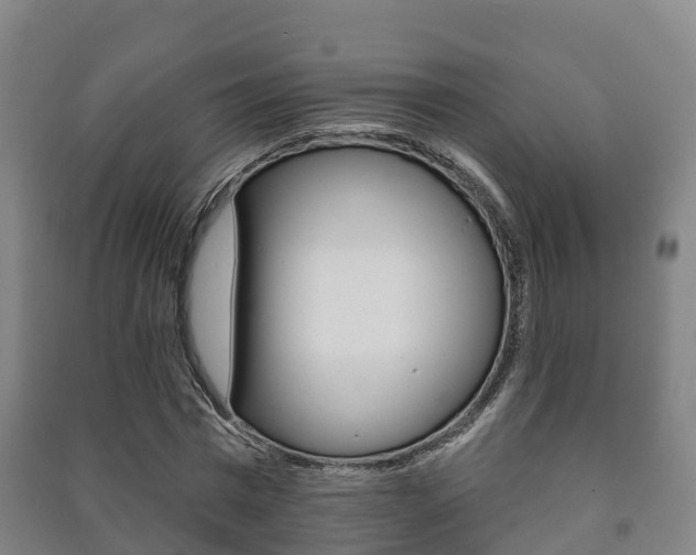 X0000091460777200708161106