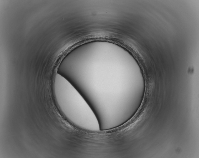 X0000091460778200708161106