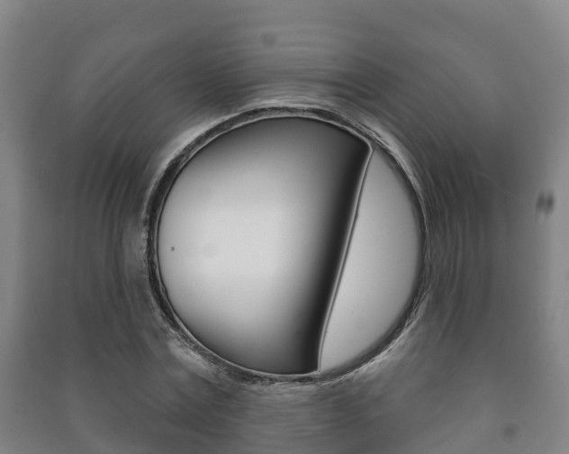 X0000091460779200708161106