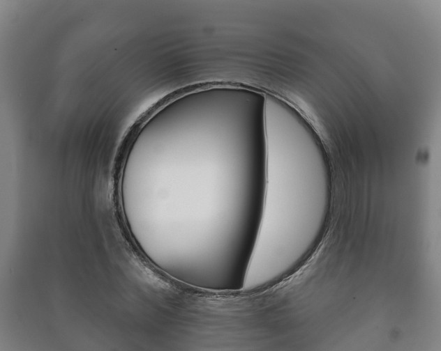 X0000091460780200708161106