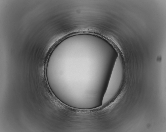 X0000091460781200708161106
