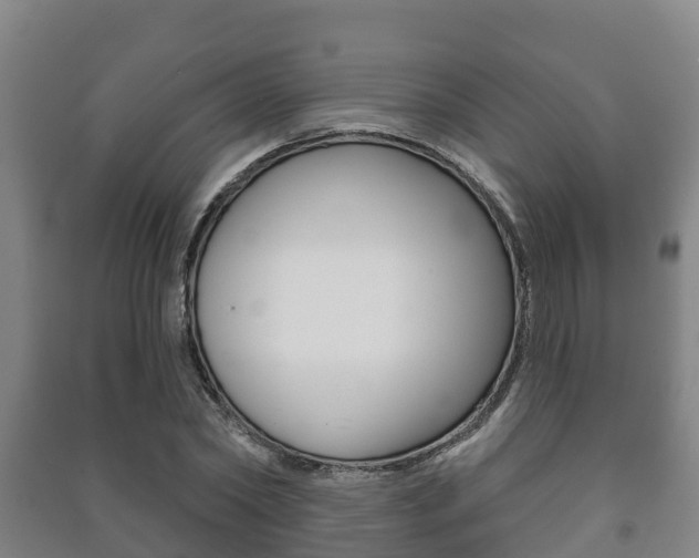 X0000091460782200708161106
