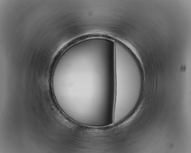 X0000091460783200708161106