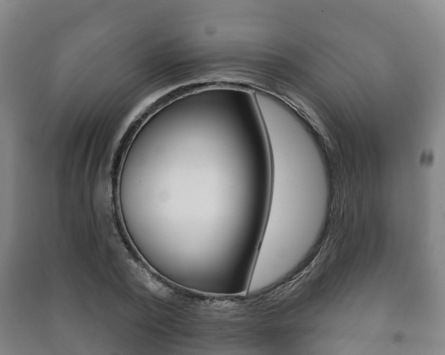 X0000091460784200708161106