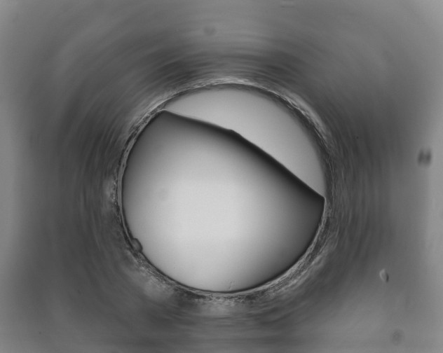 X0000091460785200708161106