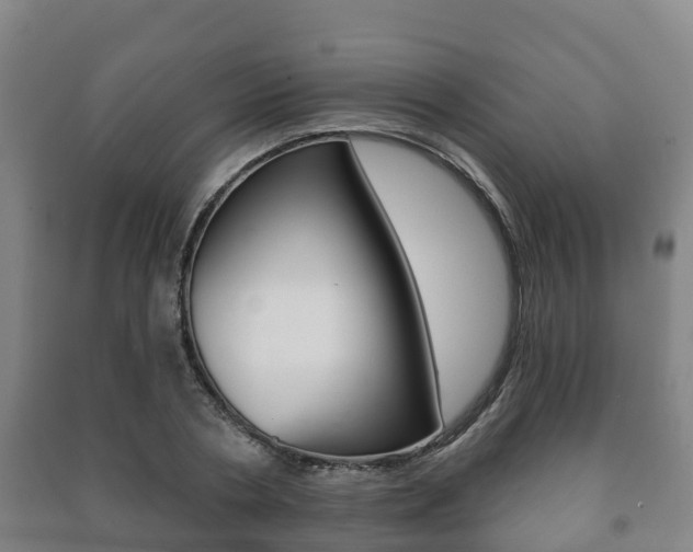 X0000091460786200708161106