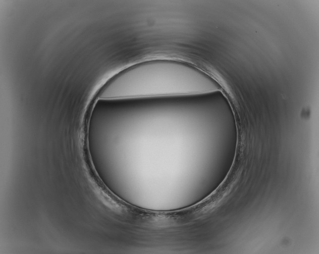 X0000091460787200708161106