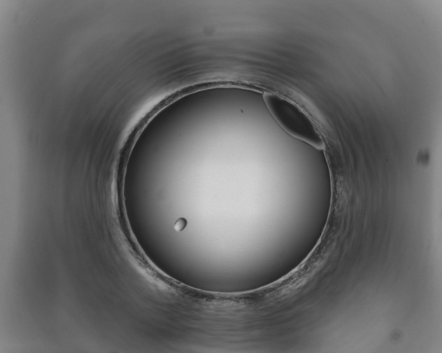 X0000091460788200708161106