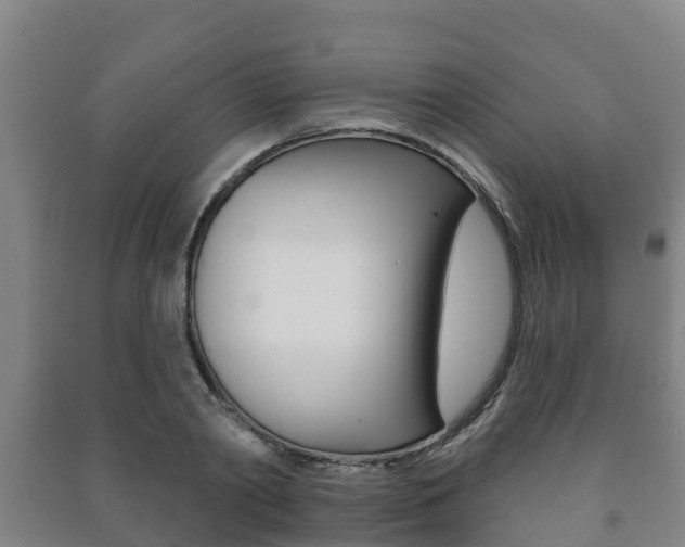 X0000091460790200708161106