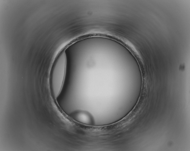 X0000091460791200708161106
