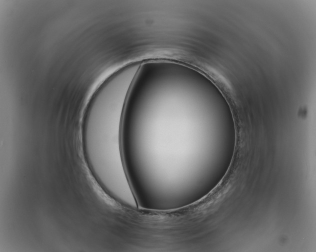 X0000091460792200708161106