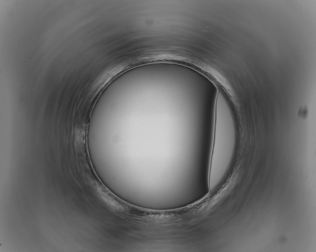 X0000091460793200708161106