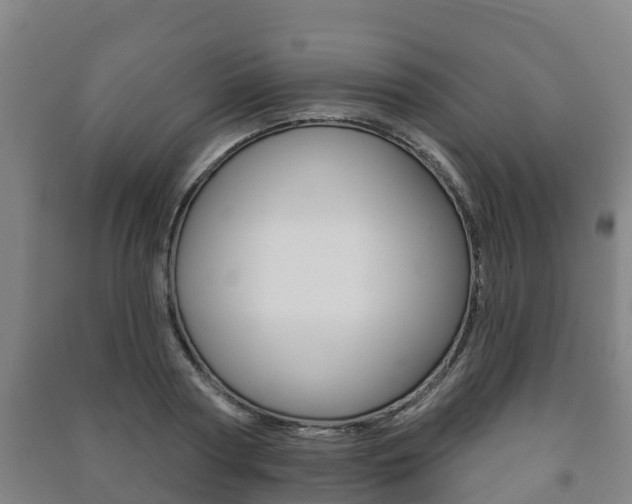 X0000091460794200708161106