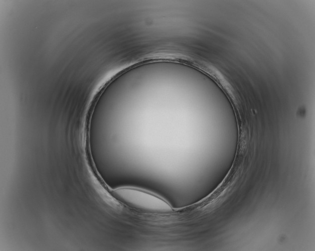 X0000091460795200708161106