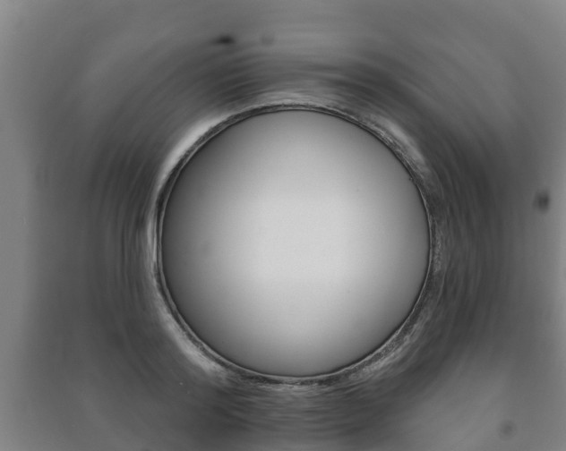 X0000091460796200708161106