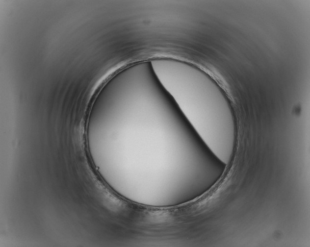 X0000091460798200708161106