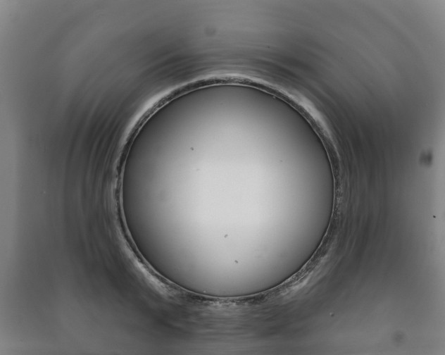 X0000091460799200708161106
