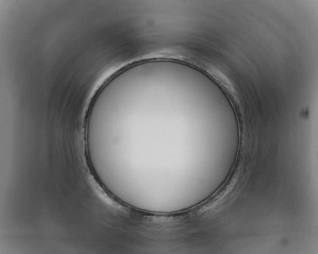 X0000091460800200708161106