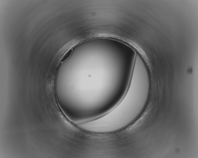 X0000091460801200708161106