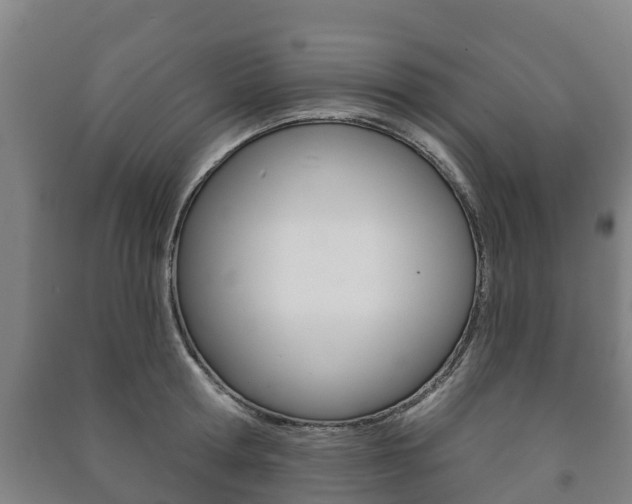 X0000091460802200708161106