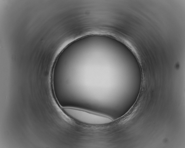 X0000091460803200708161106