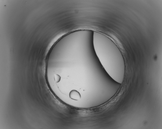 X0000091460804200708161106