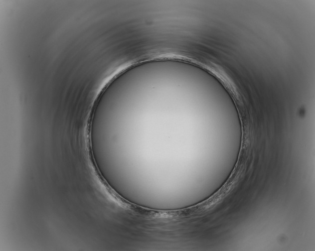 X0000091460806200708161106