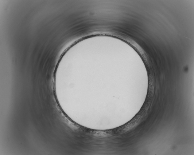 X0000091460807200708161106