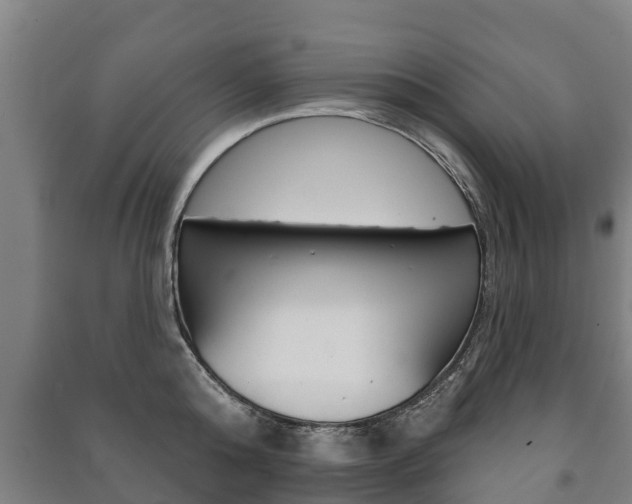 X0000091460808200708161106